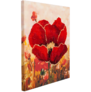 ���� ��� ��������� ������ ���, 30x30 ��, �� ���������� ����