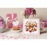 ������� ������� �� ��������� ����������. ����� ������� 25�25 �� ( ��������� ������ ) ��������