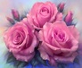 ������� ������� ��������� ���� 30 � 25 ��, �����, ���������� ����� DIY (���) FS157