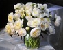 ������� ������� ����������� ����� 40 � 50 ��, ���������� �����, ������ DIY (���) FS208