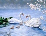 ������� ������� ����������� ����� ������ 40 � 50 ��, ���������� �����, ������ DIY (���) FS259
