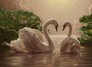 ������� ������� ��� ������ 24 � 30 ��,���������� �����, ������ DIY (���) FS031