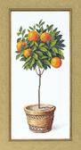 Набір для вишивання хрестиком Апельсинове дерево, 20x44 см ( канва Aida 14 ) Crystal Art 1055897