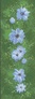 ������� ������� �������� (������). 15�42 �� (����������, ������) Dream Art 30290