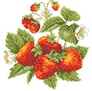 ������� ������� ��������. 25�26 �� (����������, ������) Dream Art 30223
