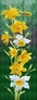 ������� ������� ��������(������). 15�38 �� (������� �����, ������) Dream Art 20030
