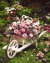 ������� �� ������� ���, 40�50�� Brushme ( ����� ) ������� �� ������� GX8847