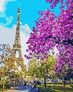 ������� �� ������� ����� �������� �����  40 � 50 �� ͳ������ N3777