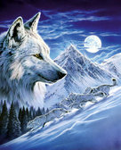 Алмазна вишивка Вовки в повний місяць 40х50 см (квадратні, повна)