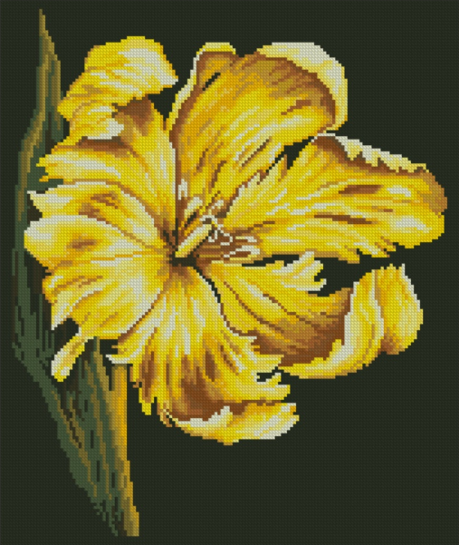 ������� ������� ������ �������, 38x45 ��, ��������� ������, �����