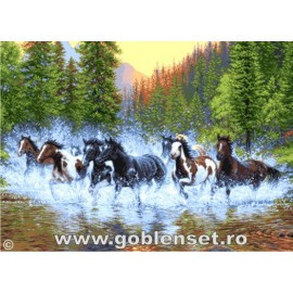 ���� ��� ��������� ��������� ����� ��� ��������� �������  Goblenset G1026 ��������