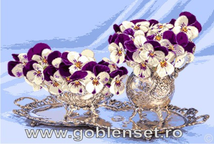 ���� ��� ��������� ��������� ����� ��� ��������� �������  Goblenset G974 ������� ������ � ����������� �����