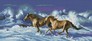 ������� ������� �� ������ 37x81  �� (����������, ������) Dream Art 30952