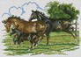 ������� ������� ����� (������) 39x55  �� (����������, ������) Dream Art 30959