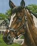 ������� ������� ���� 41x51  �� (����������, ������) Dream Art 30983