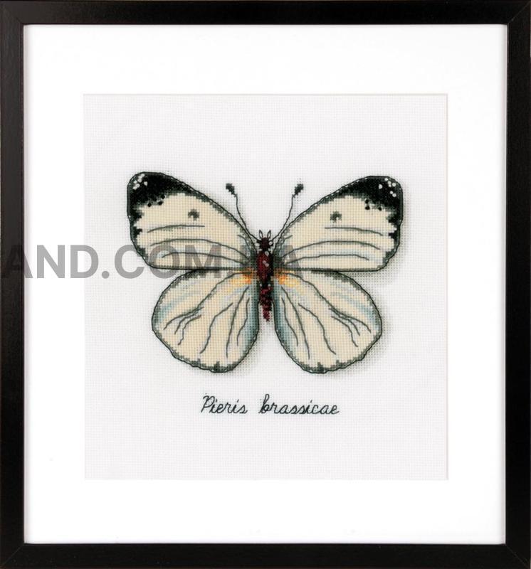  White Butterfly   (  ) 16x14 