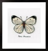  White Butterfly   (  ) 16x14 