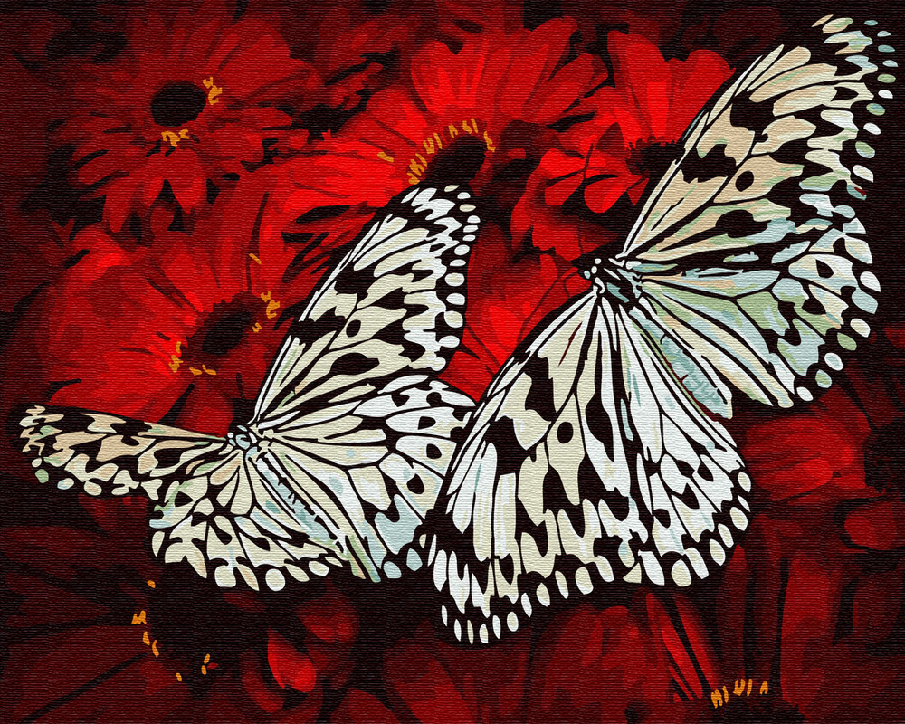 ������� �� ������� ������� �� ������ 40�50 ��