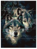 Картина по номерам Закохані вовки 30 х 40 см (дерев'яна основа)