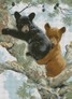 ������� ������� �� ������� 55x75 �� (����������, ������) Dream Art 31347