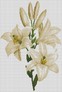 ������� ������� �������� ���� (�����) 37�51 �� (����������, ������) Dream Art 31269