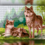 ������� ������� ����� ������ 30x40 �� (����������, ������) The Wortex Diamonds TWD20004