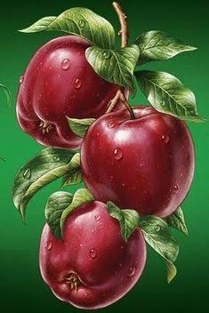 ������� ������� ������ 20x30 �� ( ��������� ������, ��� ��������� )