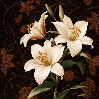 ������� ������� ����� ����� 25x25 ��, ���������� �����, ������
