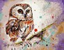 ������� �� ������� ����, 40�50 �� ArtStory ( ������ ) AS0719