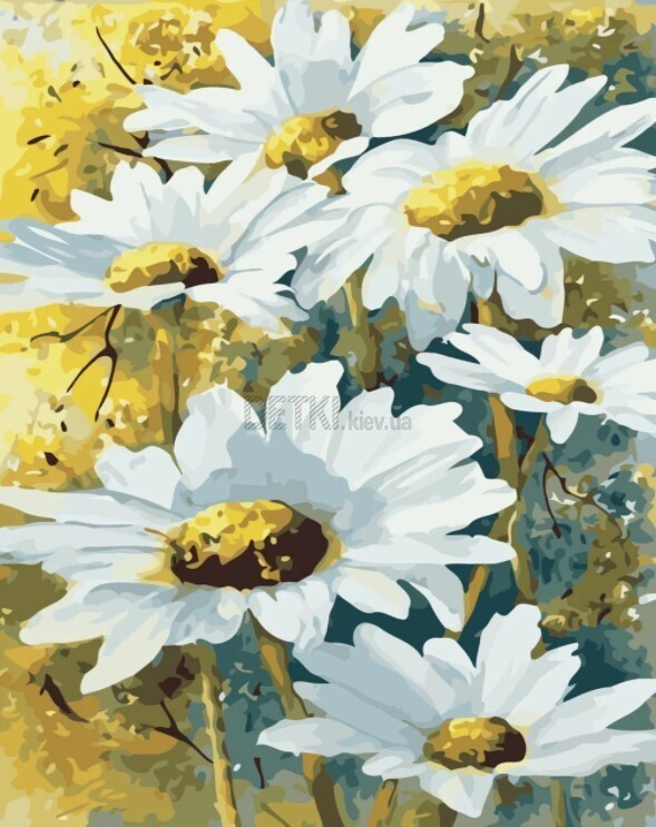 Картина по номерам Польові ромашки, 40x50 см