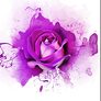 ������� ������� ������ ���-2 30x30 ��, ��������� ������, ����� ������� ������ ( ������ ) ����� � ������ ���-1022-2