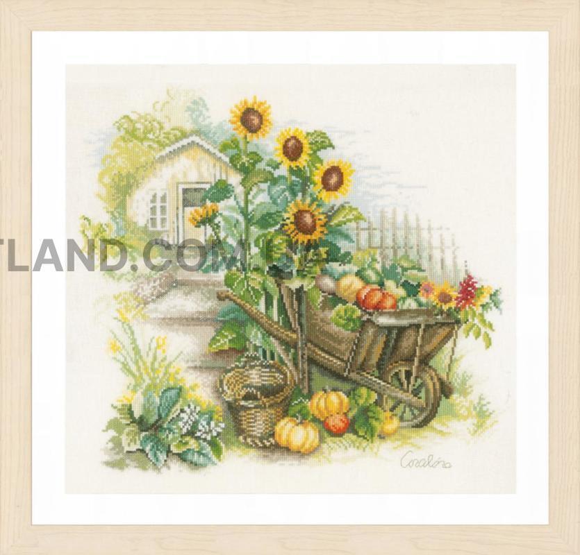  Wheelbarrow & sunflowers    43x37