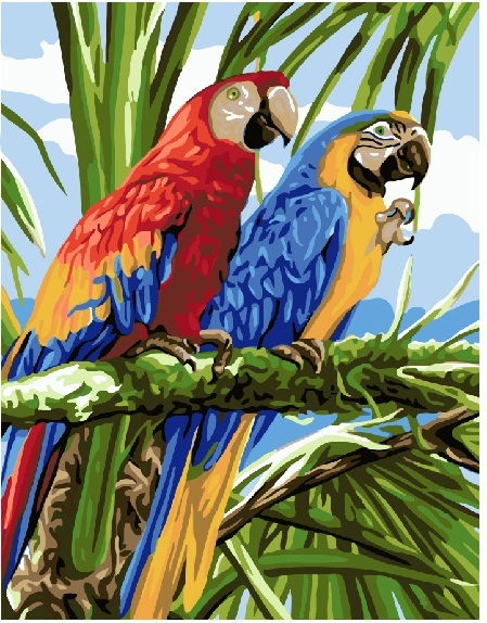 ������� �� ������� ����� ��� 40x50 ��