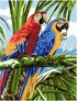 ������� �� ������� ����� ��� 40x50 �� Brushme ( ����� ) ������� �� ������� GX22339