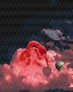 ������� �� ������� ���� ���� 40x50 �� Brushme ( ����� ) ������� �� ������� GX34365