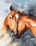 ������� �� ������� ��������� �������� 40x50 �� Brushme ( ����� ) ������� �� ������� BS28717