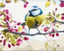������� �� ������� �������� ������� 40x50 �� Brushme ( ����� ) ������� �� ������� BS51439