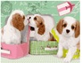 ������� �� ������� ��� �������� � ������ 40x50 �� Brushme ( ����� ) ������� �� ������� GX25358