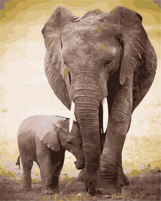 ������� �� ������� ������� � ����� 40x50 ��