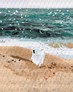 ������� �� ������� ������ �� ��������� 40x50 �� Brushme ( ����� ) ������� �� ������� BS37562