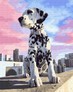 ������� �� ������� ����������� � ��� 40�50 �� Brushme ( ����� ) ������� �� ������� GX32310