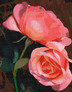 ������� �� ������� ������� ����� 40�50 �� Art Craft 13109-AC