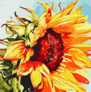 ������� �� ������� �������� 40x40 �� ArtStory ( ������ ) AS0811