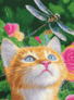 ������� �� ������� ʳ� � �����, 30 � 40 �� ArtStory ( ������ ) AS1065