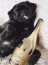 ������� �� ������� ³�������� 30x40 �� ArtStory ( ������ ) AS1069