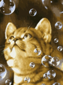 Картина по номерам Мильні бульбашки, 30 х 40 см