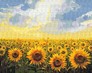 ������� �� ������� ���� ����������� 40x50 �� Brushme ( ����� ) ������� �� ������� BS135