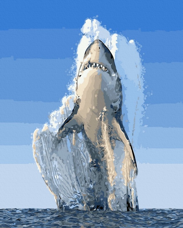 ������� �� ������� ������ 40x50 ��