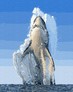 ������� �� ������� ������ 40x50 �� Brushme ( ����� ) ������� �� ������� GX3846