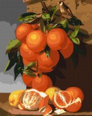 Картина по номерам Апельсини та лимони, 40х50см